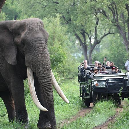 Karongwe Portfolio - Becks Safari Lodge Karongwe Game Reserve Екстериор снимка