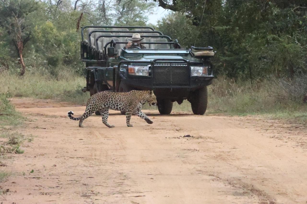Karongwe Portfolio - Becks Safari Lodge Karongwe Game Reserve Екстериор снимка