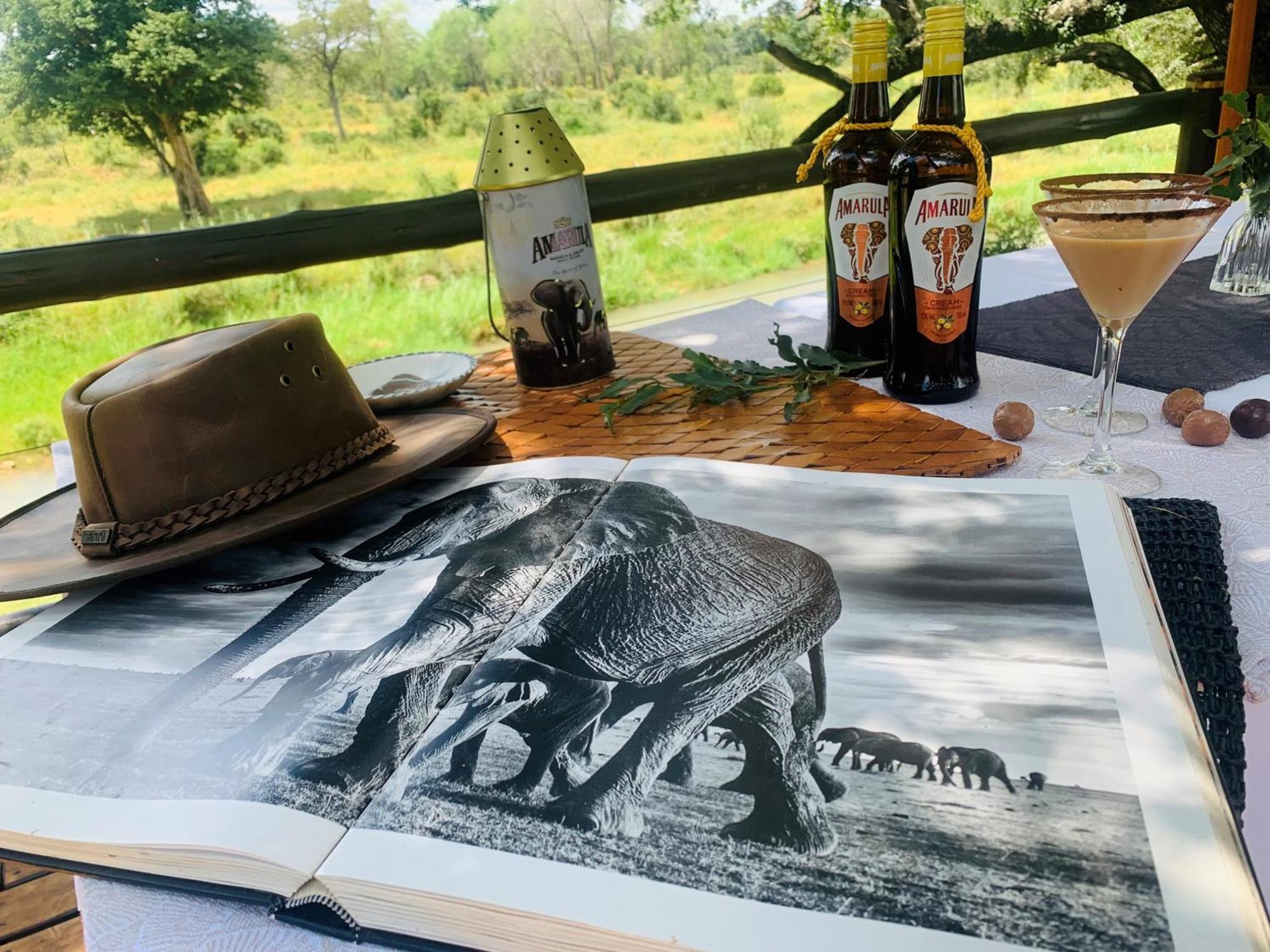 Karongwe Portfolio - Becks Safari Lodge Karongwe Game Reserve Екстериор снимка