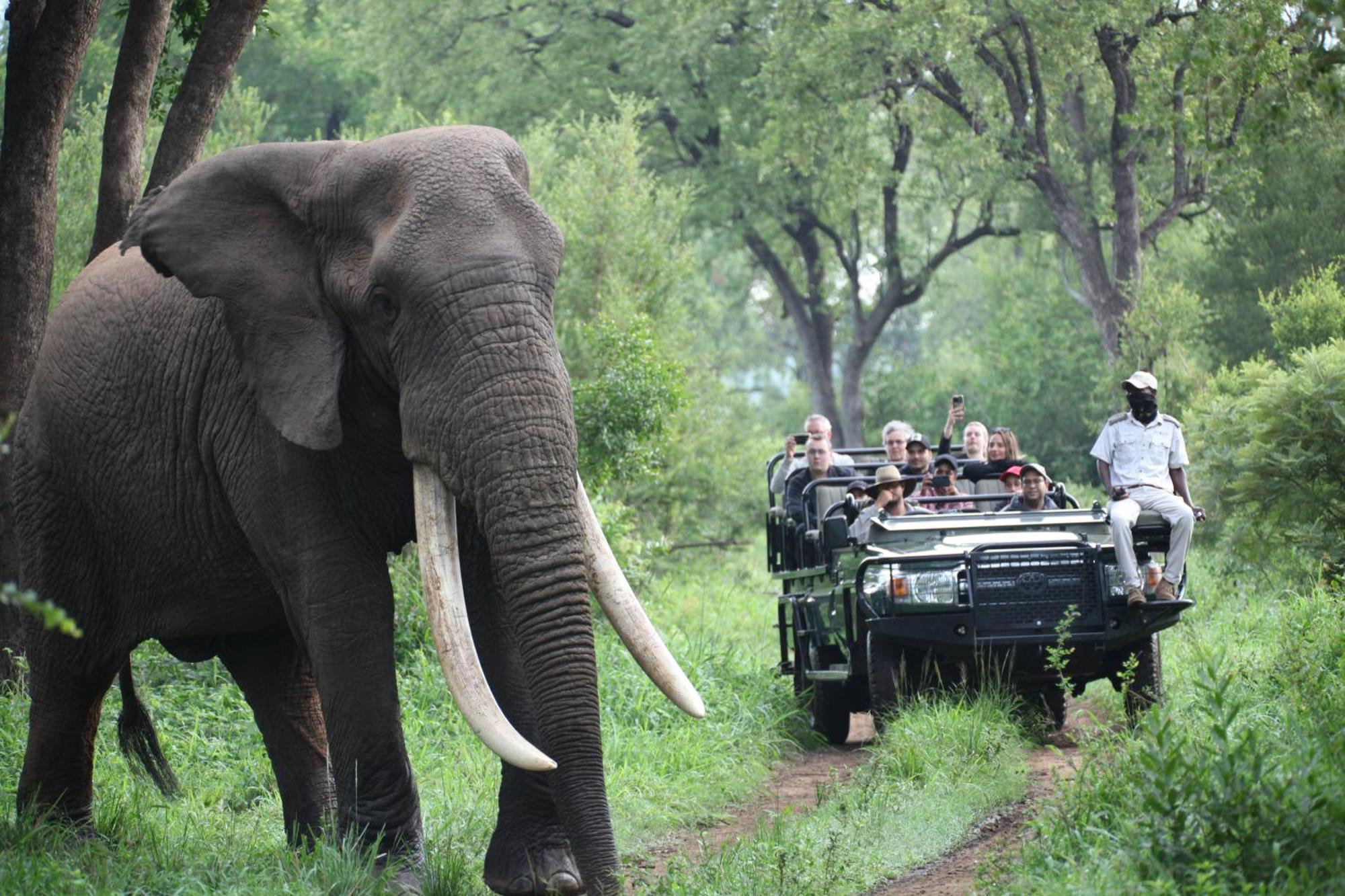 Karongwe Portfolio - Becks Safari Lodge Karongwe Game Reserve Екстериор снимка