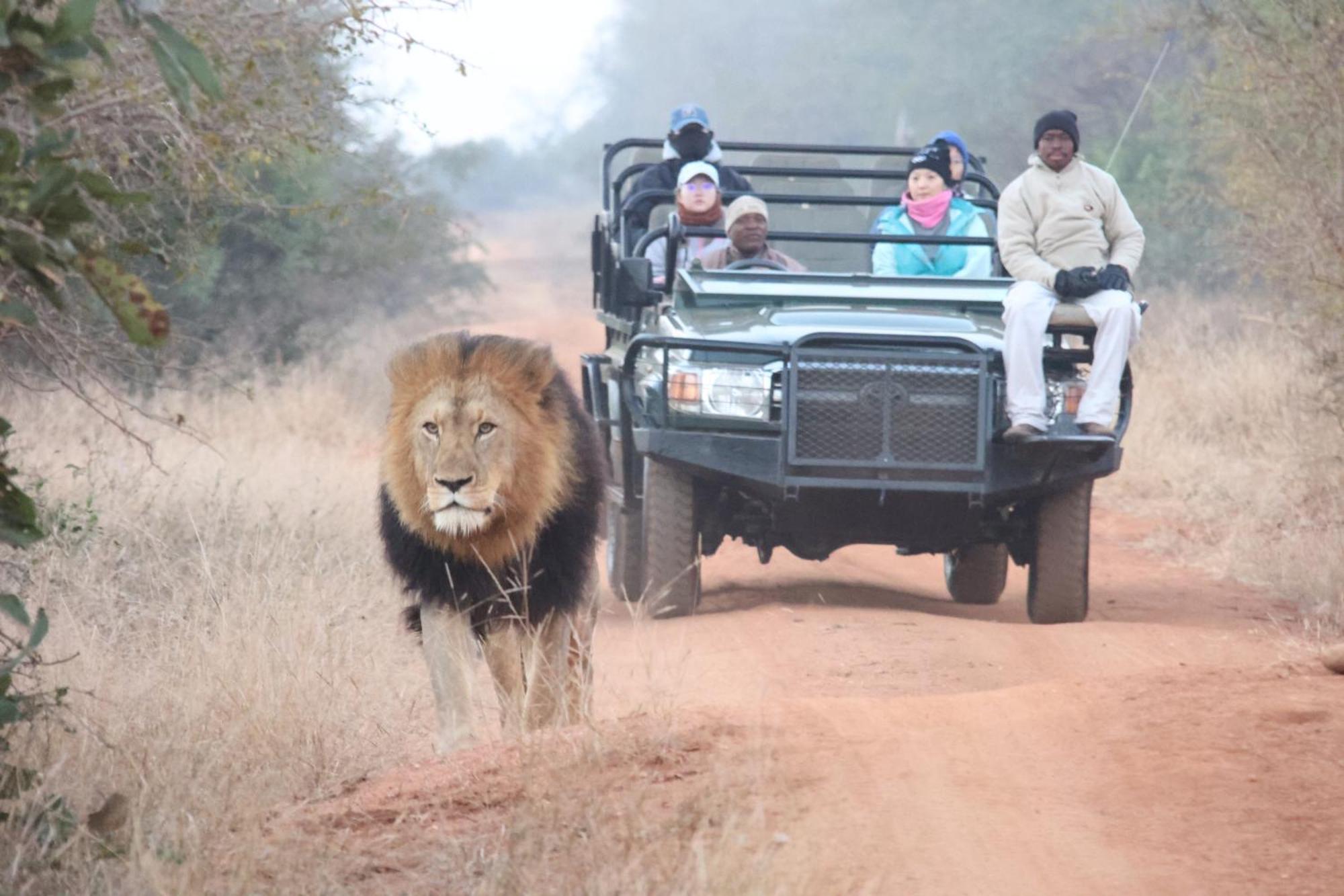Karongwe Portfolio - Becks Safari Lodge Karongwe Game Reserve Екстериор снимка