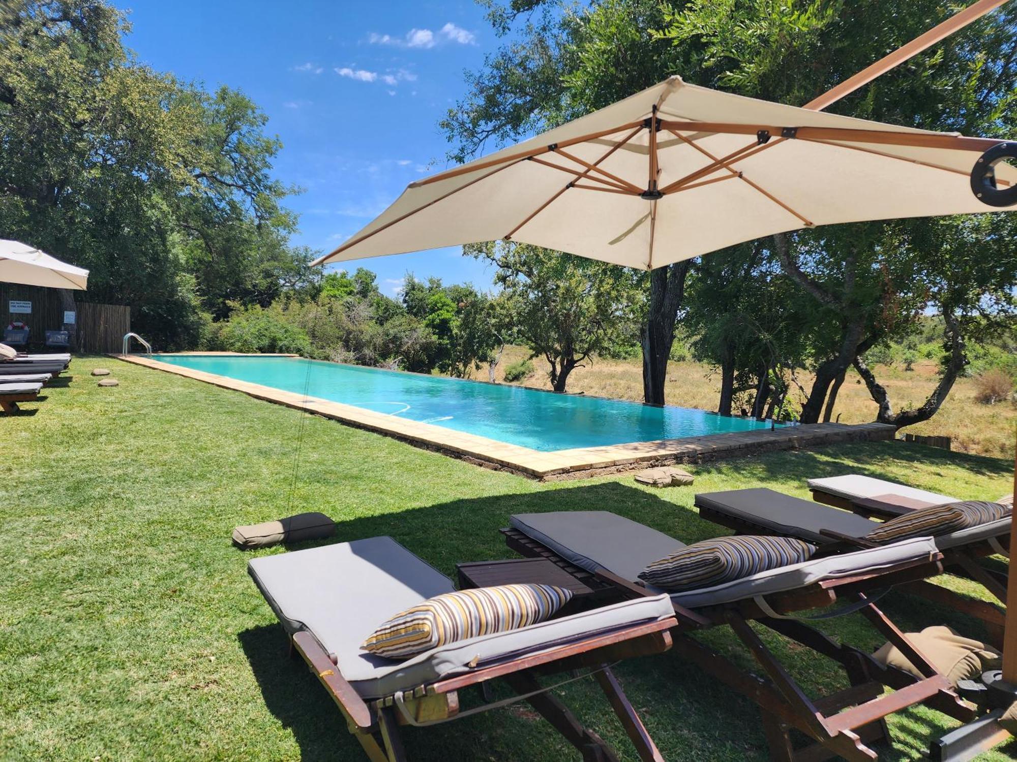 Karongwe Portfolio - Becks Safari Lodge Karongwe Game Reserve Екстериор снимка